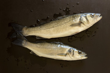 Fresh fish on a black stone table. Concept- healthy food, fresh seafood. Dicentrarchus labrax.