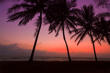 Sunset At Miami