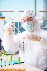 Naklejka premium Male biotechnology scientist chemist working in the lab