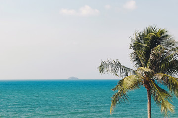 Fototapeta na wymiar palm trees in tropical beach