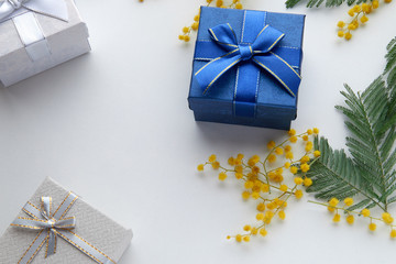 Blue gift box with yellow mimosa flowers on white background. Spring background with space for text.