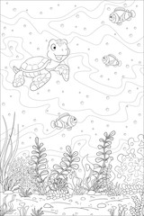 Coloring book underwater landscape. Hand draw vector illustration with separate layers.