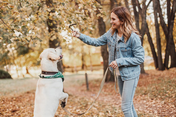 Fototapeta premium Happy woman training dog labrador in the park.