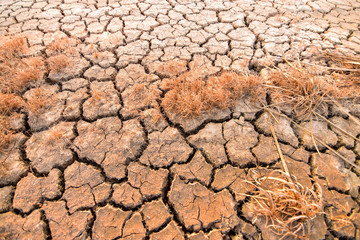 Crisp hay on the dry and cracked land in the dry season of Southeast Asia