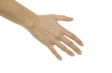 image on white background of different positions of a hand	