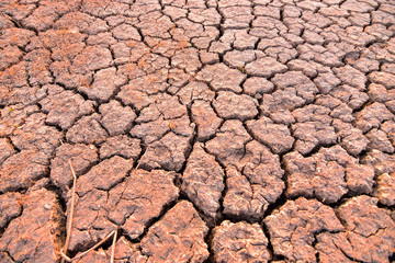 Crisp hay on the dry and cracked land in the dry season of Southeast Asia