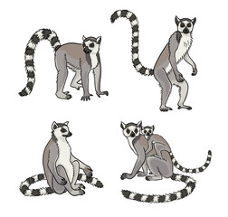 Lemurs in different poses - vector illustration © rosinka