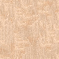 Seamless texture of wood