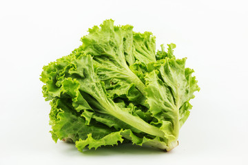 Lettuce isolated on white background. Popular vegetable Salad leaf.