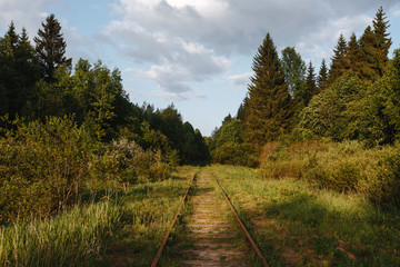 Old overgrown abandoned railway