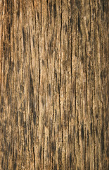old wooden board, background