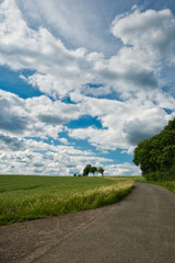Fototapeta na wymiar Landschaft mit Feldern im Sommer