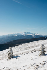 Fototapeta premium winter in the mountains