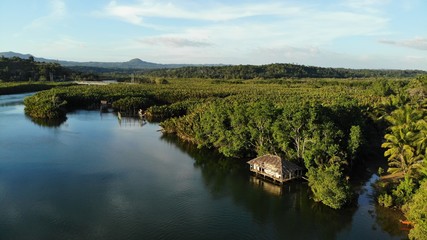 Fototapeta na wymiar Vue aérienne de la Rivière Abatan, Bohol, Philippines