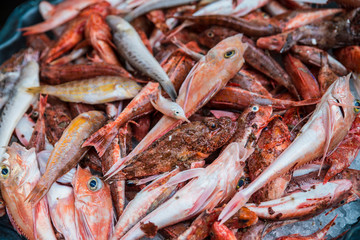 Naples, Italy - August 15, 2015 : Insight on fish market of Naples.
