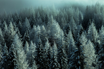 beautiful winter mountain landscape