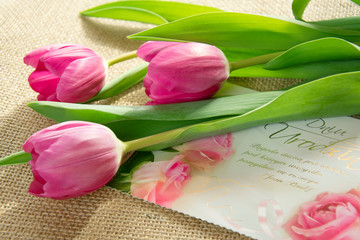 Kartka urodzinowa i tulipany - obrazy, fototapety, plakaty