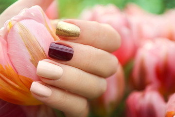 Multicolored short manicure with a brilliant golden, dark burgundy and pastel light nail polish....