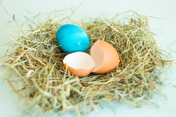 ombre colors painted Easter eggs lie in the nest, the background is neutral