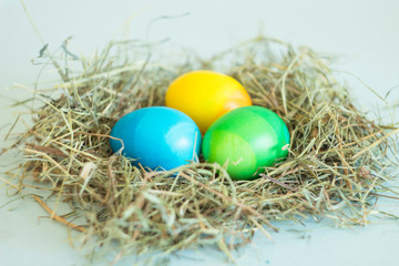 Fototapeta na wymiar ombre colors painted Easter eggs lie in the nest, the background is neutral