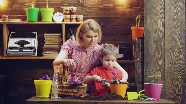 Cute child boy helps his mother to care for plants. Mother and her son engaged in gardening in the backyard. Spring concept, nature and care. Family plant flowers. Spring time.