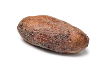 Single whole cocoa bean close up