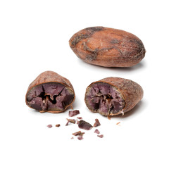  Whole and halved cocoa bean close up