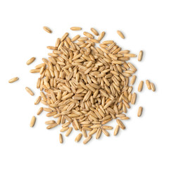  Heap of organic oat seeds