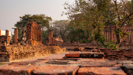 Fototapeta premium ayutthaya