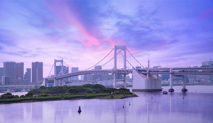 Fototapeta na wymiar rainbow bridge and urban skyline at sunset, Tokyo, Japan