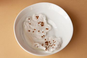 tomato seeds ready for planting lie on white wet gauze on a white plate on a cream table at home