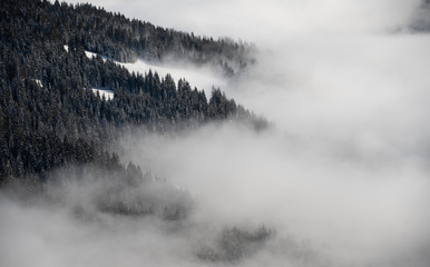 The clouds rolll over the trees