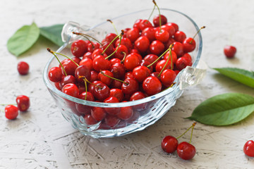Cherry berries with leaves in a glass bowl on a gray background. Side view