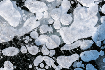 Fototapeta na wymiar Background frozen gas bubbles in the frozen ice of the lake and river in winter