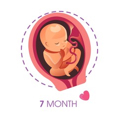 7 month fetus or embryo isolated icon pregnancy and motherhood