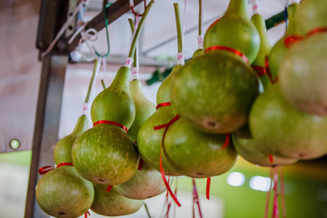 Calabash for sale on a store