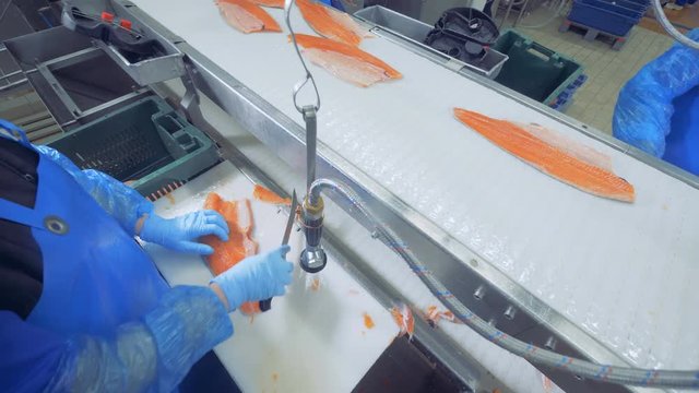 Worker is cutting off extra pieces of a salmon