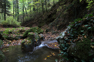 Naklejka na ściany i meble Stream in a mountain gorge in the autumn forest.