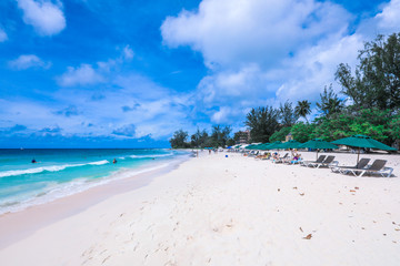Luxury Beaches of the Paradise Island, Barbados, Caribbean