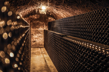 Winebottles in old Wine cellar