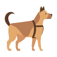 cute little dog mascot