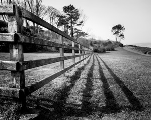 wooden fence and shadow