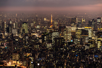 Obraz premium Tokyo Tower with skyline cityscape in Tokyo, Japan at night