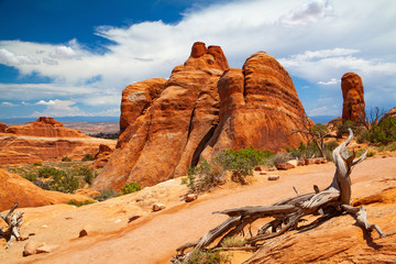 Arches National Park, Moab,Utah,USA.