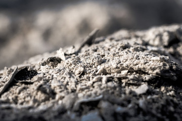 ash closeup. texture of ash macro