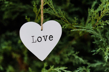 Corazón blanco con la plabra love escrita en su interior, colgando de un cordel sobre un fondo de vegetación