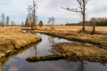 Dolina Górnej Narwi. Wiosna nad Narwią. Natura 2000 © podlaski49
