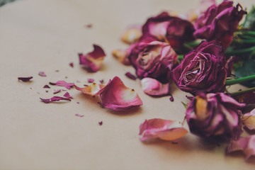 angular composition of dry red roses, scattered dead bouquet, vent style, antivalentinin day,...