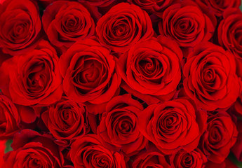 bouquet of red roses in a white box on a white background pattern