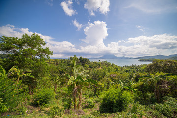 Fototapeta na wymiar Beautiful Landscape In Palawan, Philippines